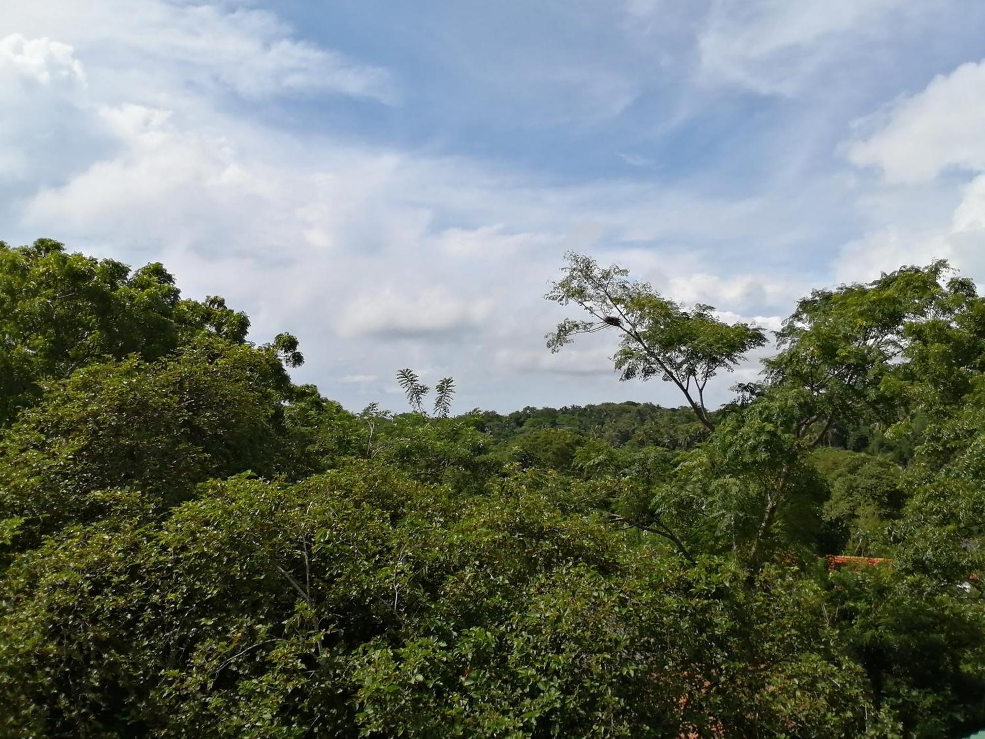 坦加拉 绿山小屋旅馆酒店 客房 照片